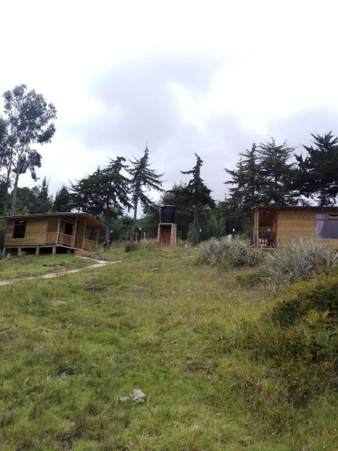 San Martin